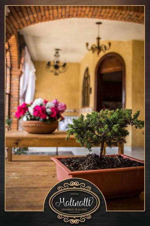 Hostal Malinalli Σαν Μιγκέλ ντε Αγιέντε Εξωτερικό φωτογραφία